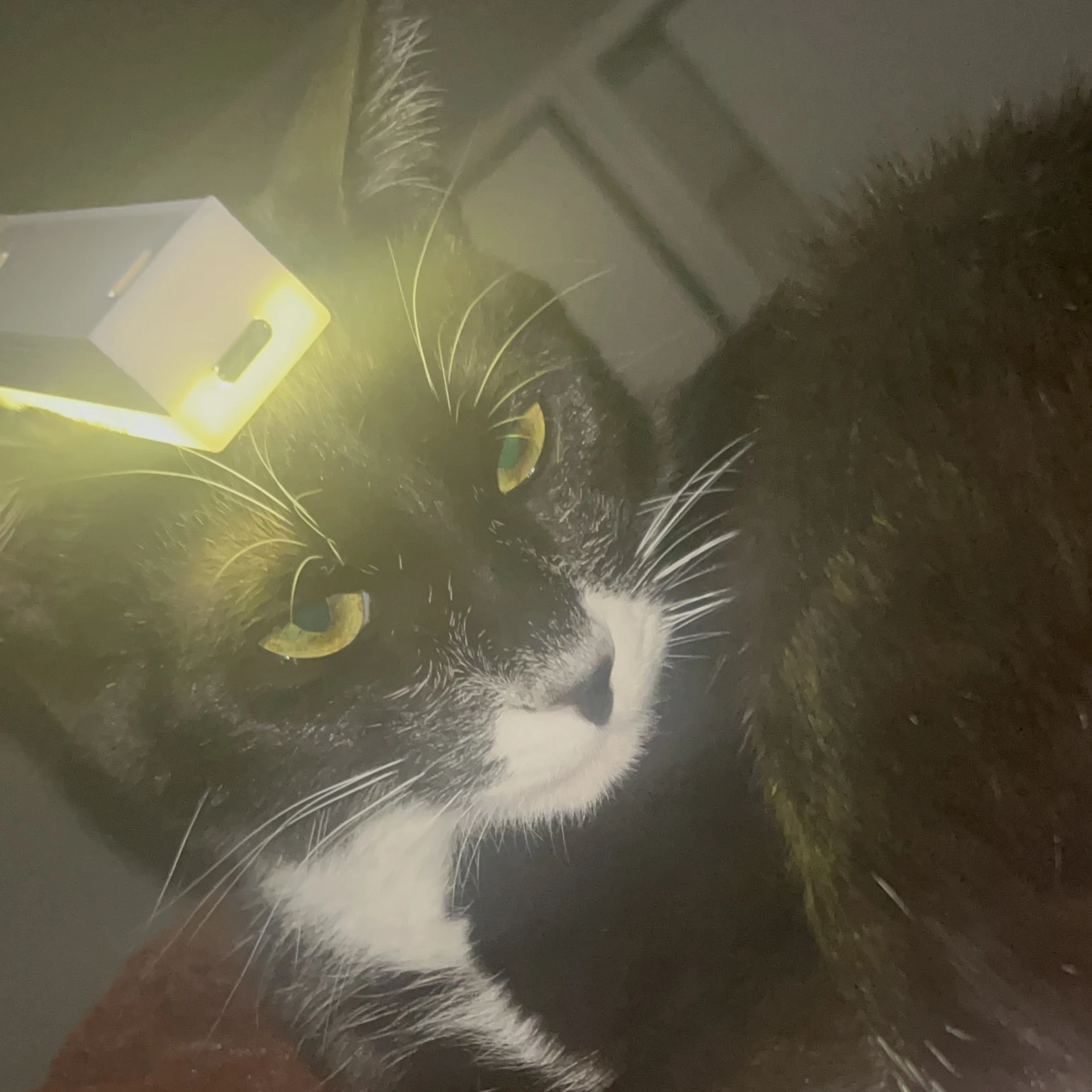ㅁ