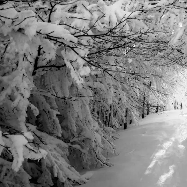 shoto_love_의 소빈, 승기,