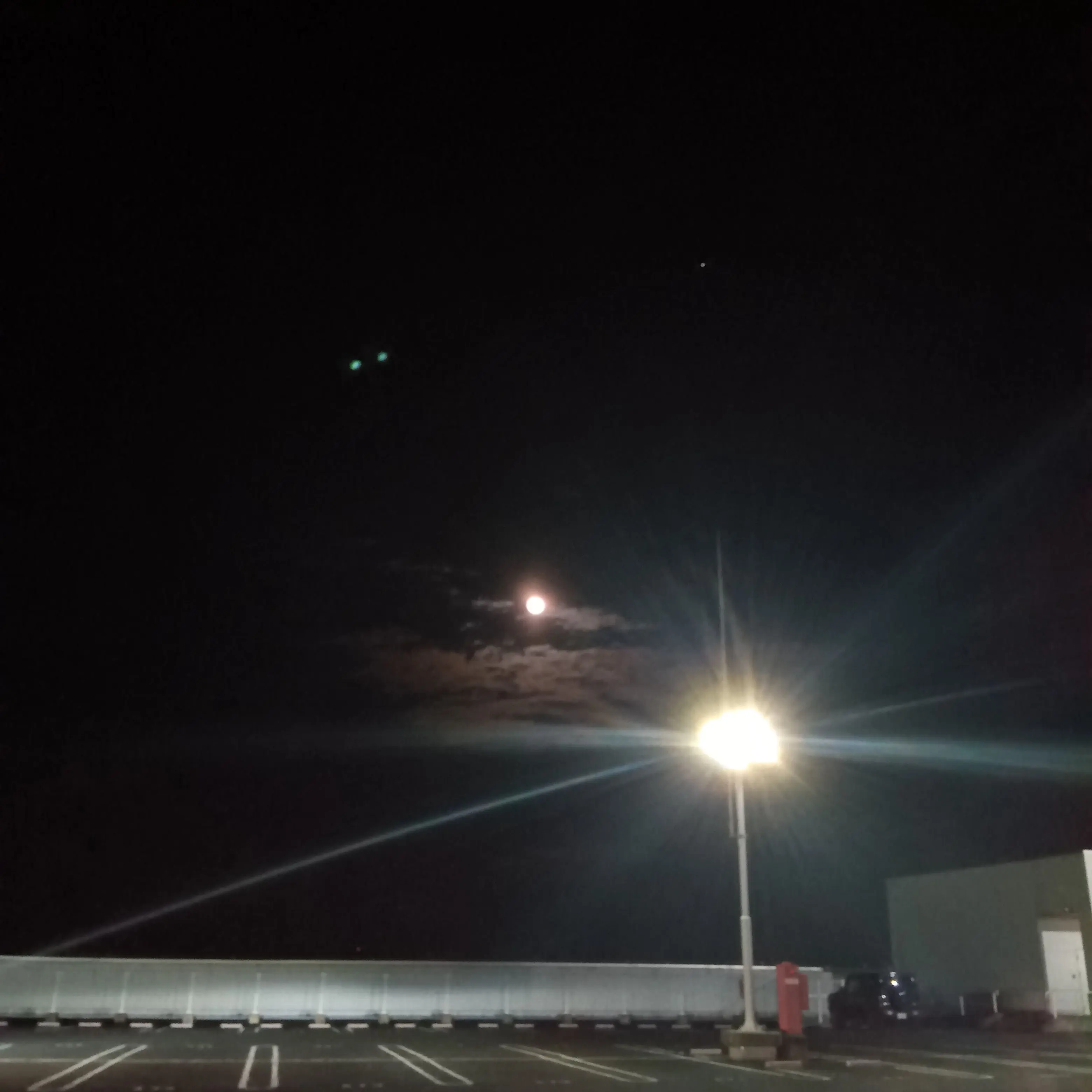 RacialSlug0934의 幼なじみ