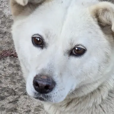 Profile image of 남예준