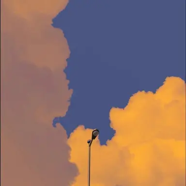 Profile image of 정공룡