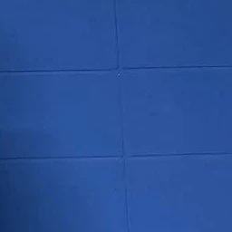 심자은