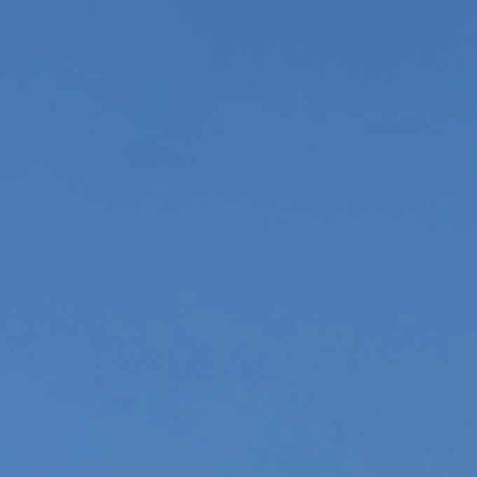 파이브