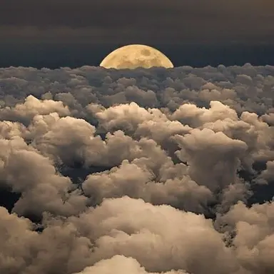 Profile image of 강태풍