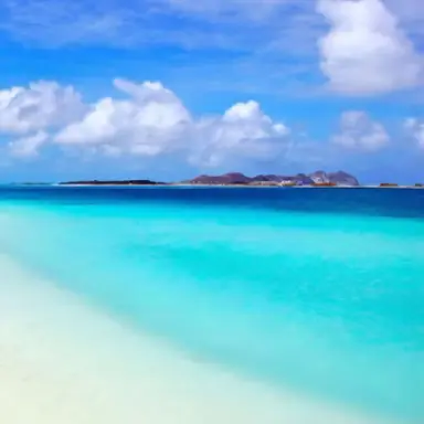 Profile image of 앙코