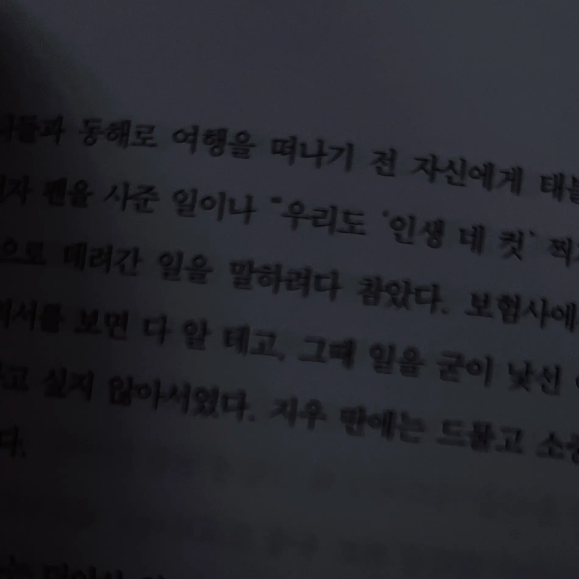 ksysarube의 애저타임 숲속 au