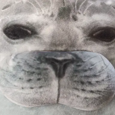 Profile image of Mr. Shibo