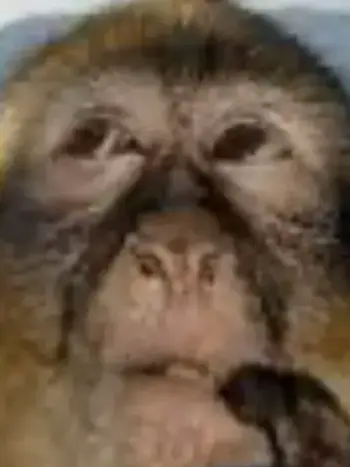 YeastyEar4429의 チャンスの家でお泊まり会！