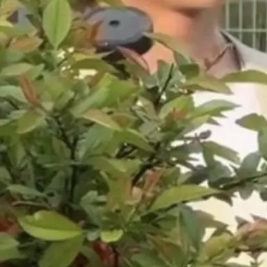 Profile image of 육성재