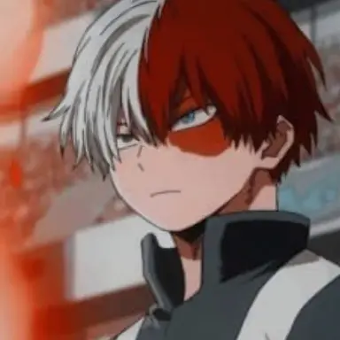 Profile image of Shoto Todoroki