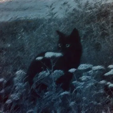 Profile image of 内山 昂輝