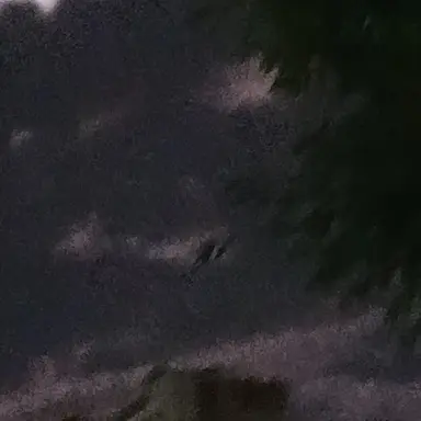 Profile image of 백강혁