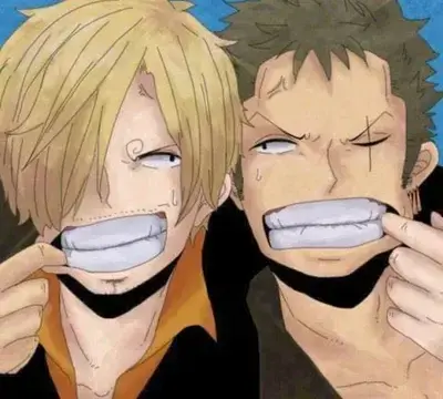 BrownPeas2559의 Sanji and Zoro