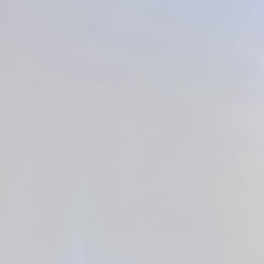 김동현