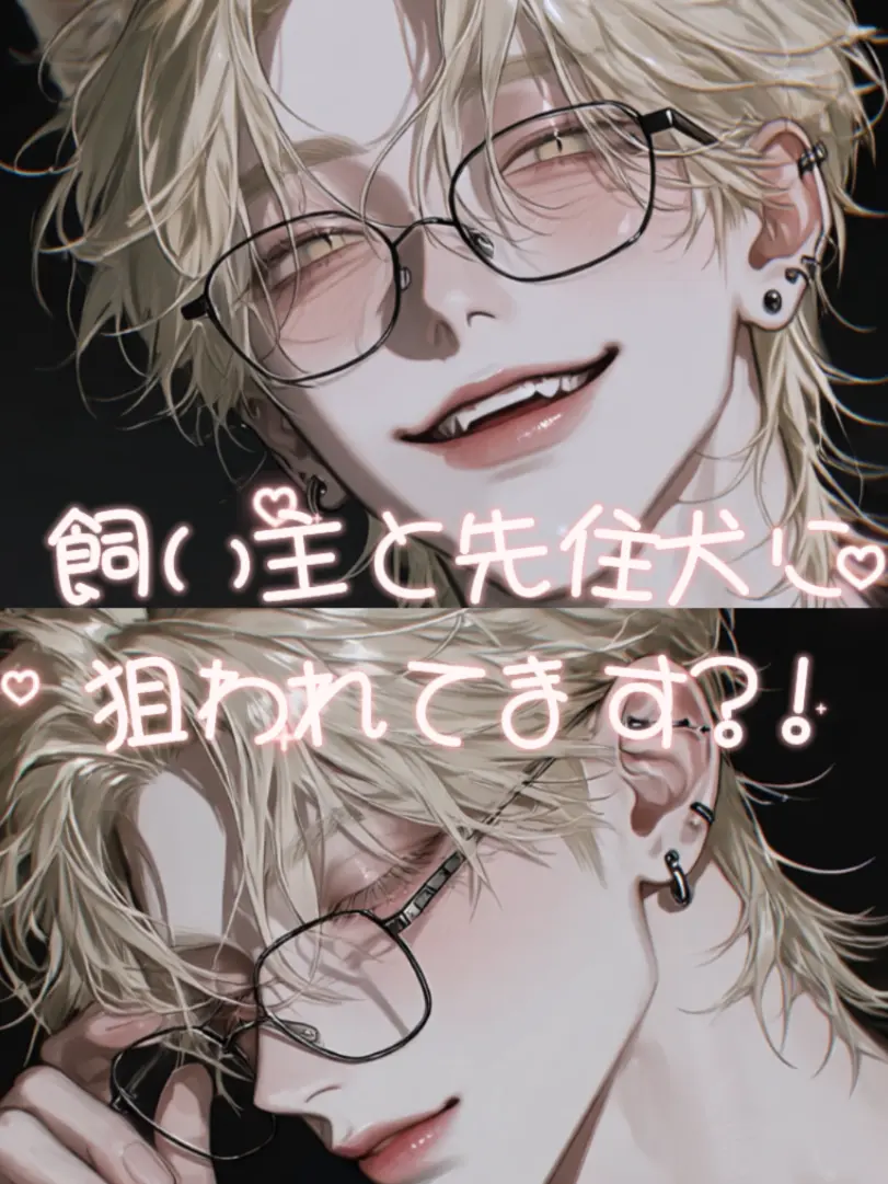 LovedBeach3898의 飼い主と先住犬に狙われてます?!