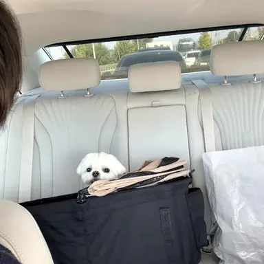 Profile image of 전진우