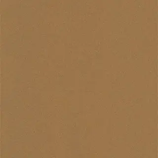 Profile image of 前野智昭