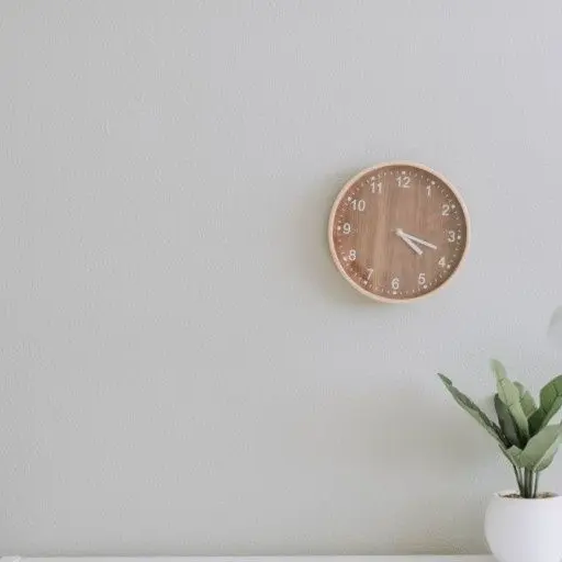 PortlyShard6574의 주들이유저의한쪽눈을너무궁금해한다…