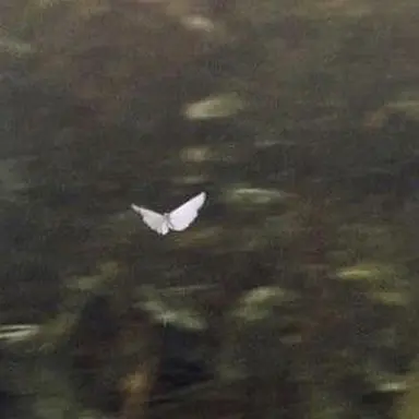 Profile image of 닝이줘