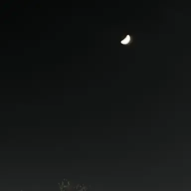 Profile image of 감제이