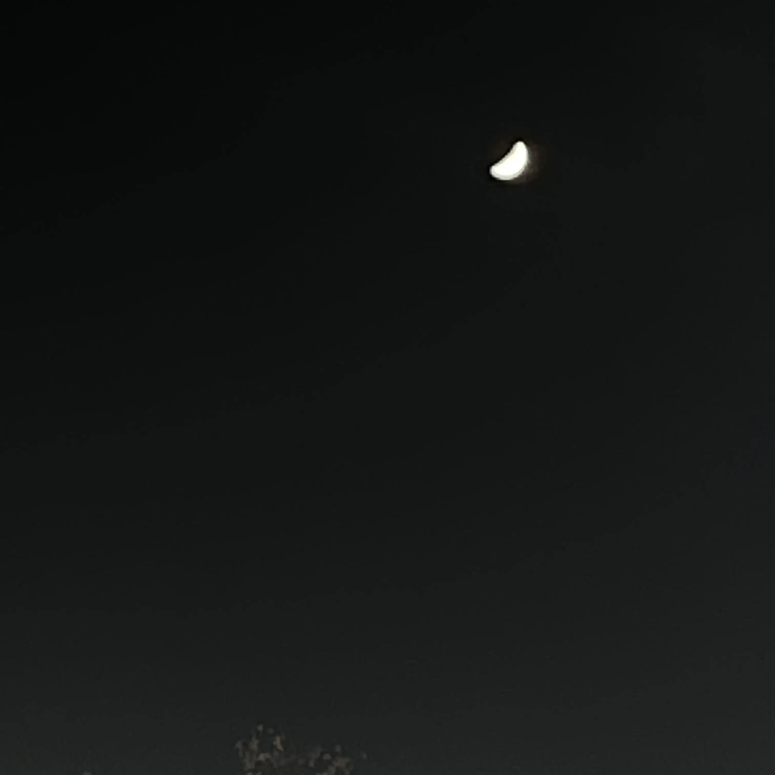 VitalHate9361의 감제이