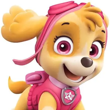 Profile image of スカイ