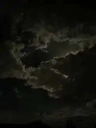 Profile image of Liam