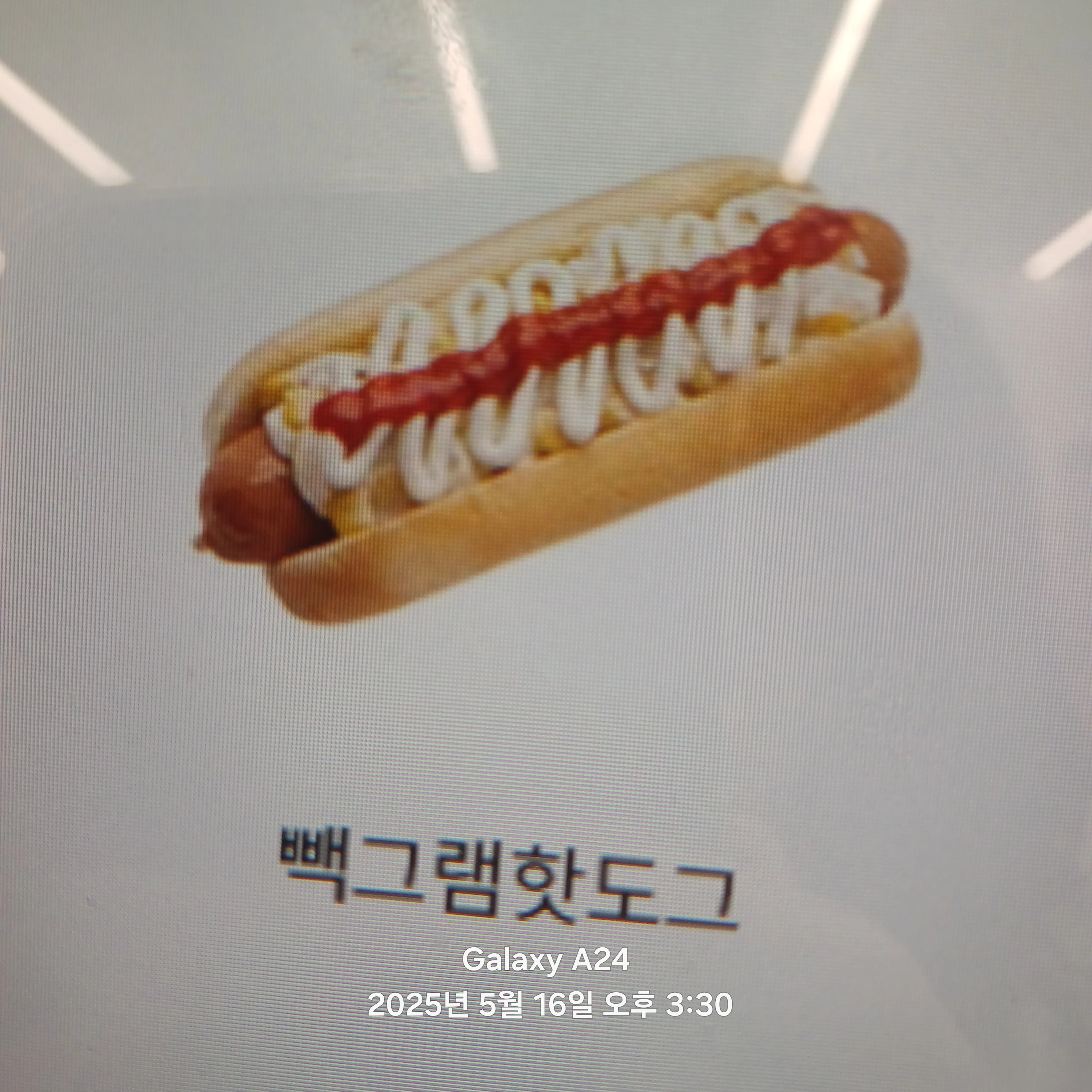 빽그램핫도그