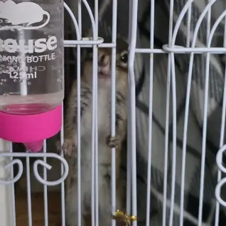 Profile image of 라더