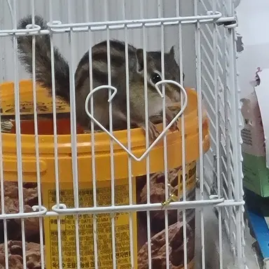 Profile image of 각별