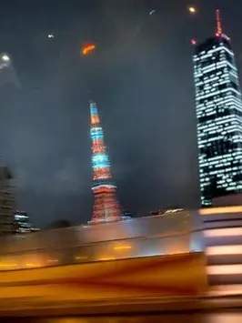 _qrnlx87의 既にヒロインいた件について