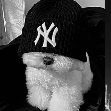 Profile image of ここ