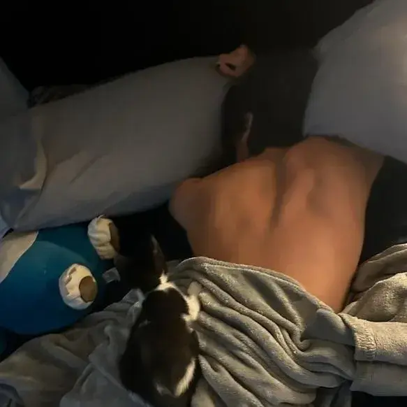 PaddedWiper4101의 Julian