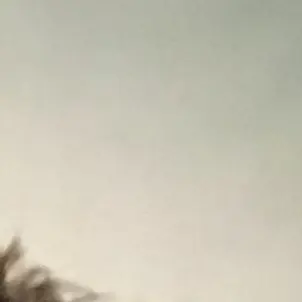 Profile image of Ben