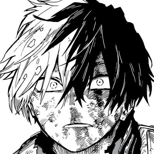 lonmel_h의 토도로키 쇼토