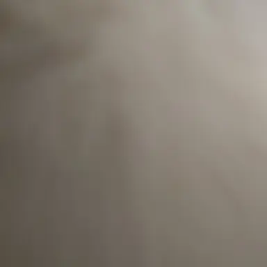 Profile image of 후이즈좀비