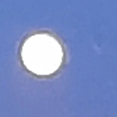 Profile image of 라더