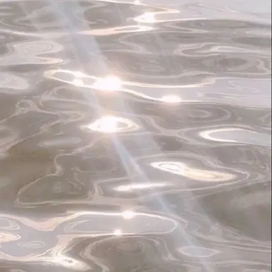 Profile image of 로보