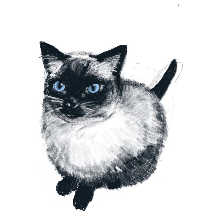 솜