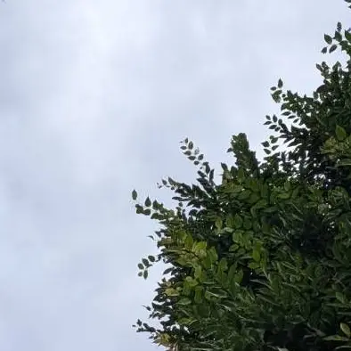 b14의 自分用