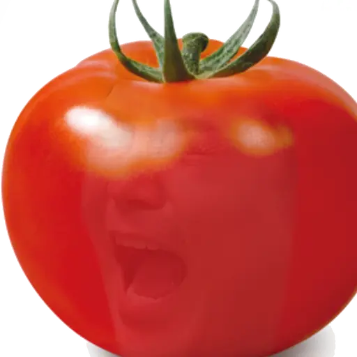 co_ble의 소리지르는 토마토