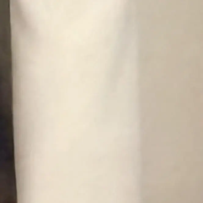 12355566666579의 普通の成歩堂龍一！