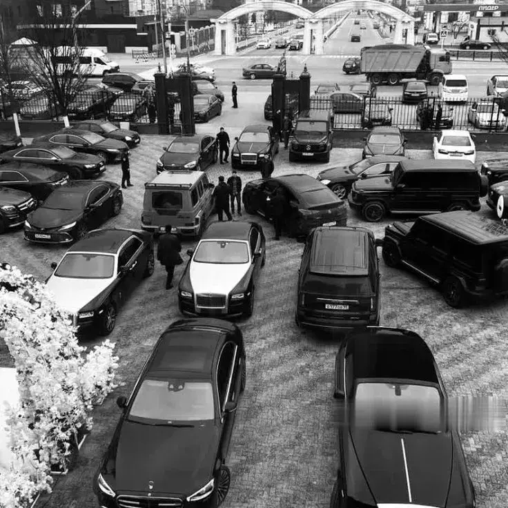 CherryTray1175의 Mafia Family