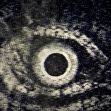 Profile image of The Other Monster