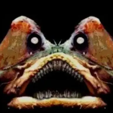 Profile image of The Monster