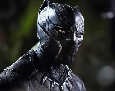 Profile image of King TChalla