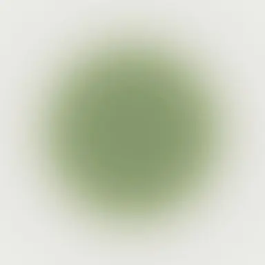 Profile image of Kappa