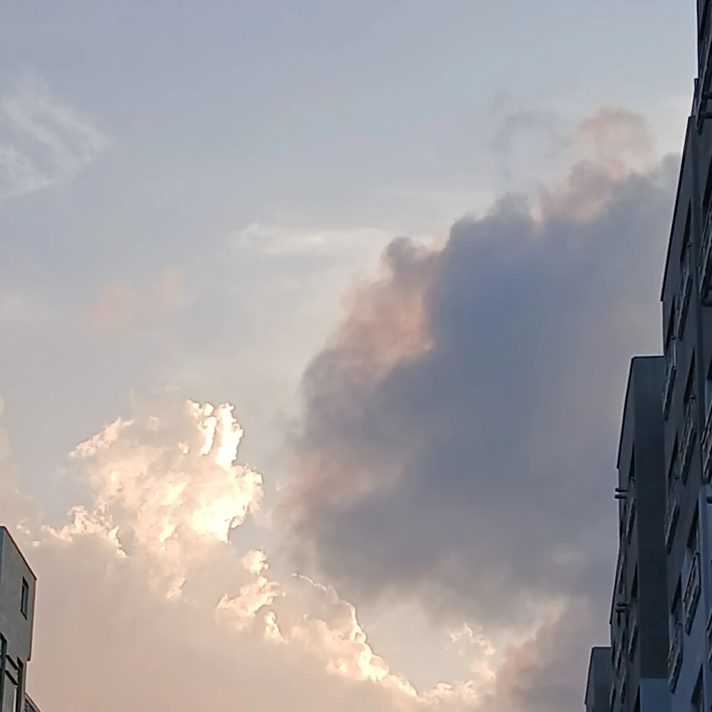 RipestMamba0302의 마피오소랑 따까리