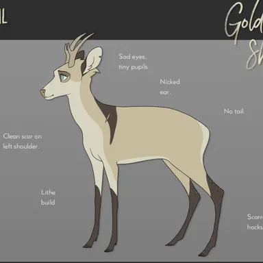 Profile image of Riptail