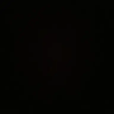 Profile image of 김수아